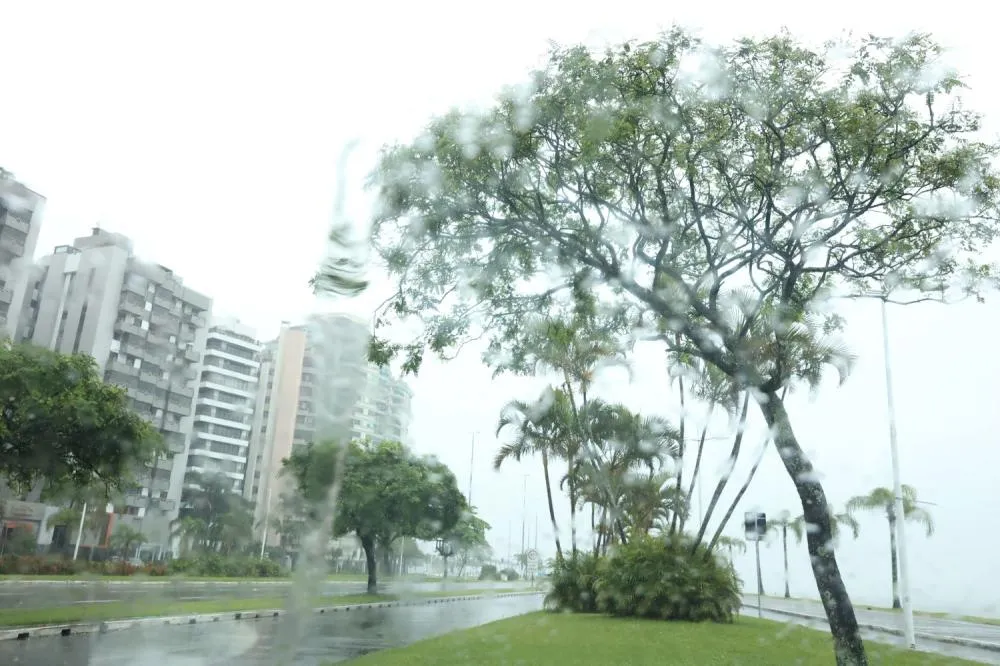 Chuva volta a Santa Catarina neste fim de semana e pode causar alagamentos
