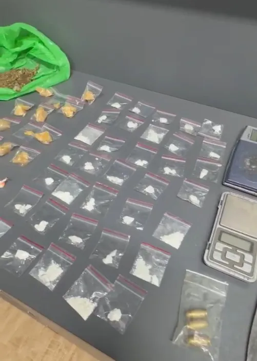 Polícia Civil prende dois por tráfico de drogas no bairro Steffen, em Brusque